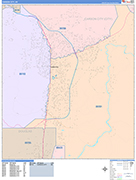 Carson City  Wall Map Color Cast Style